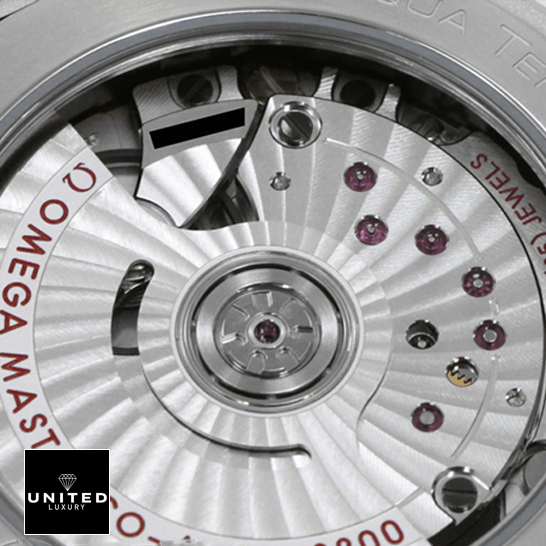 Omega Seamaster Co Ax?al 220.13.38.20 Replica mechanism view