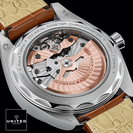 Omega Seamaster Master Co Ax?al 8939 Replica upside view