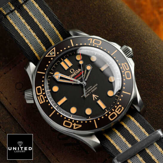 seamaster-8806-replica-5